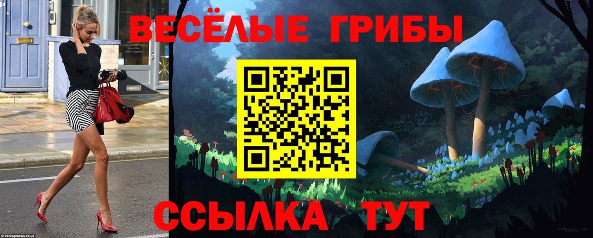 Псилоцибиновые грибы Magic Shrooms  Галлюциногенные грибы ЛСД  Вход с VPN  Ачинск 